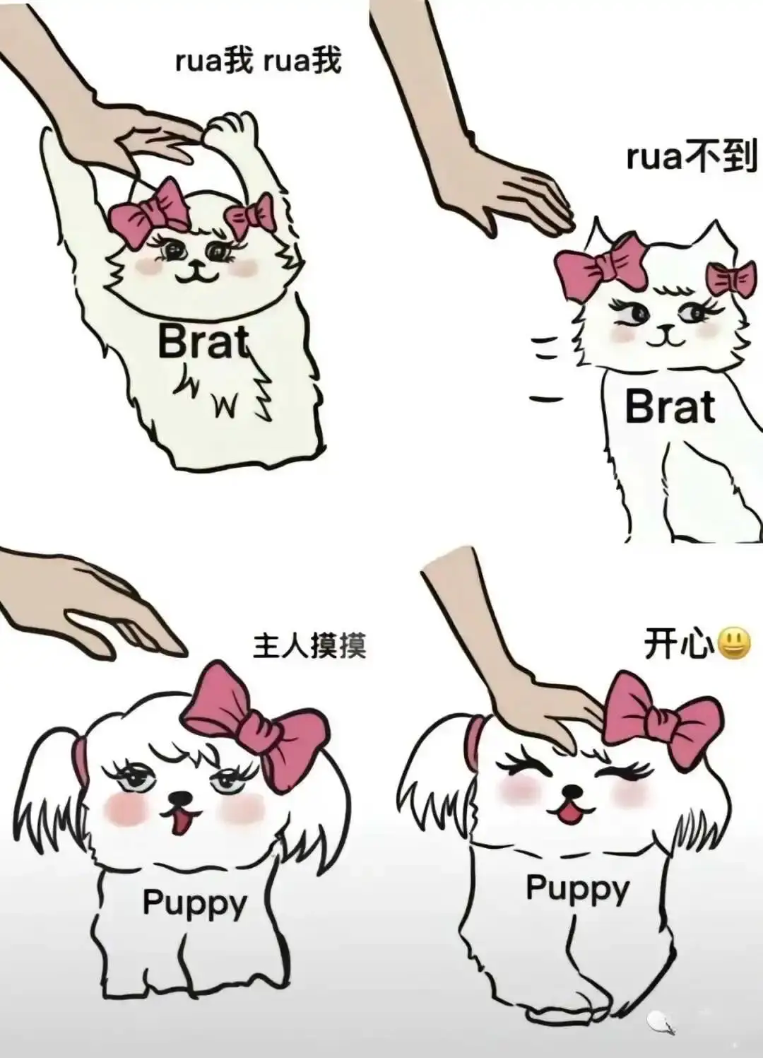 西檬之家-字母圈新人入圈指南：从BDSM基础术语到安全共识