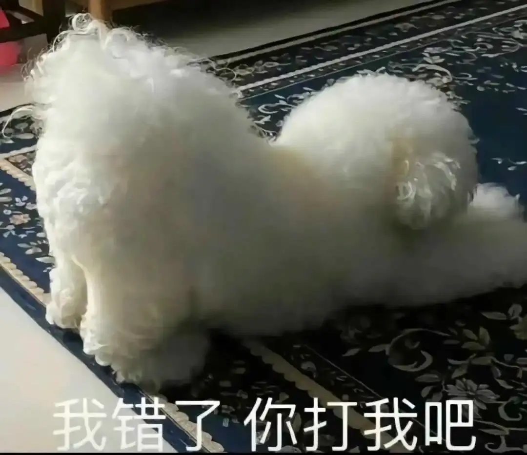 西檬之家-BDSM属性是什么？字母圈新人指南