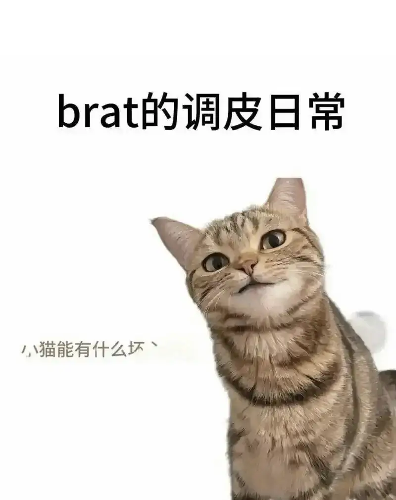 【西檬之家】走入字母圈：Sub是什么？解析字母圈基础术语与安全实践