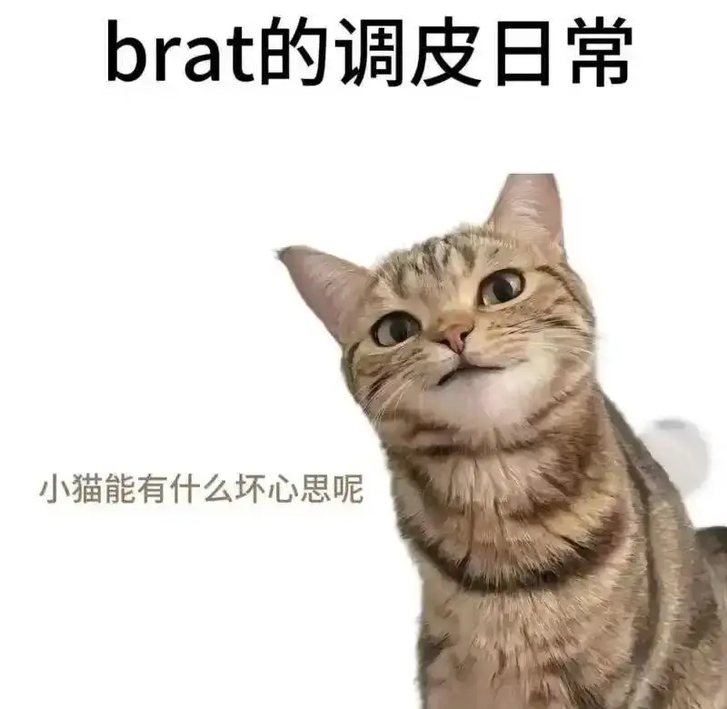 西檬之家-ddlg是什么？字母圈新人必知的年龄扮演概念