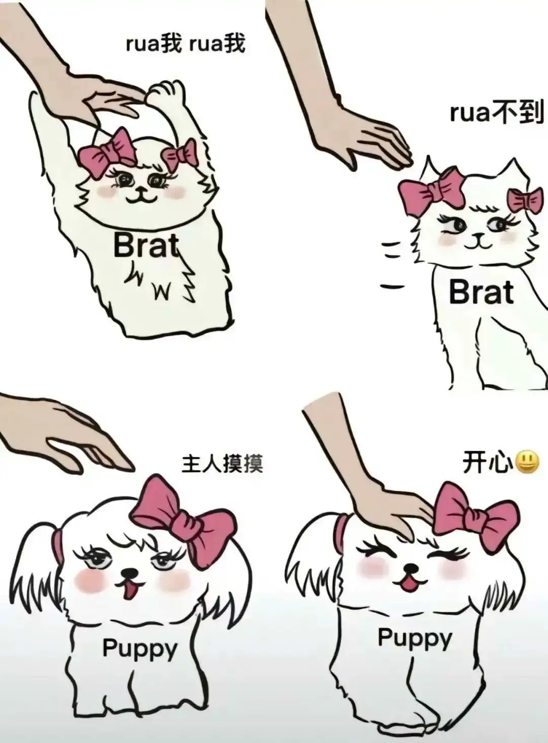 西檬之家-字母圈小圈与SSC原则详解