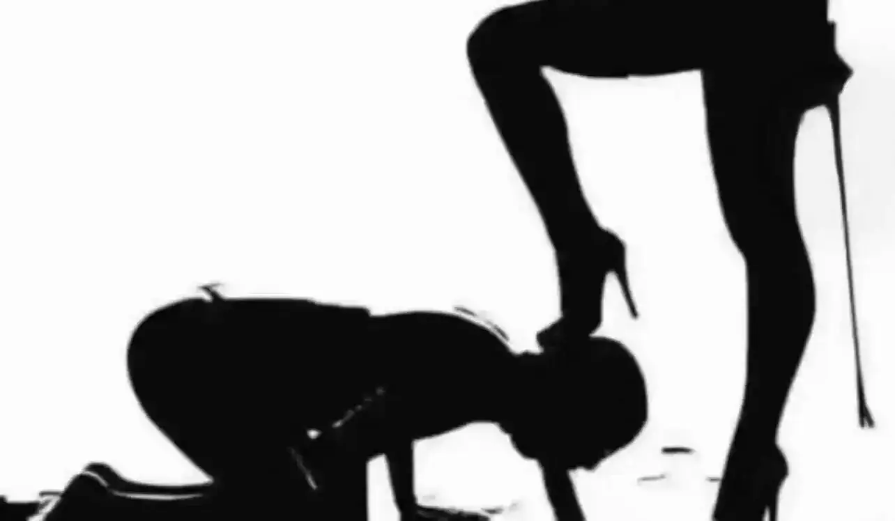 西檬之家-字母圈新人如何入圈？BDSM亚文化基础指南