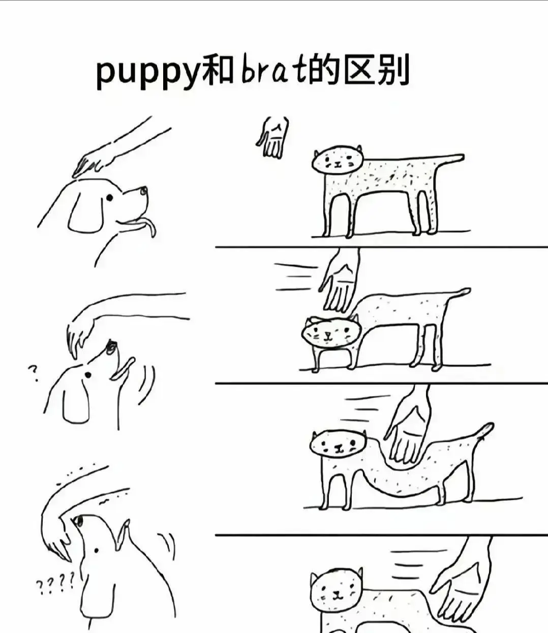 西檬之家-字母圈新人入圈：斯慕圈核心概念全解析