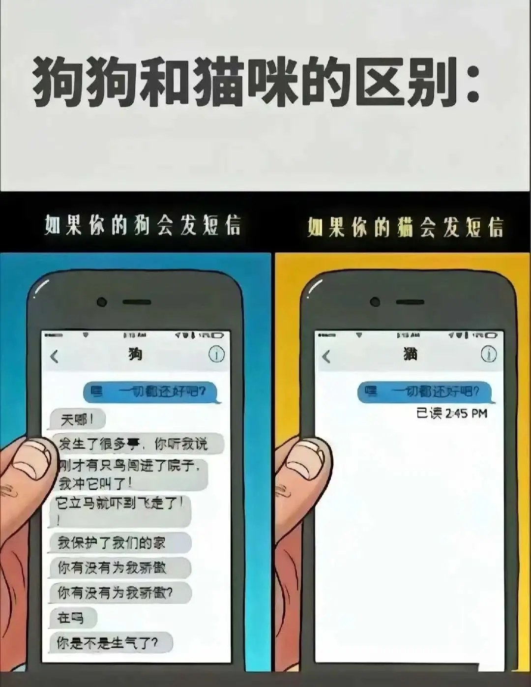 【西檬之家】BDSM字母圈新人如何正确理解DT与核心术语？